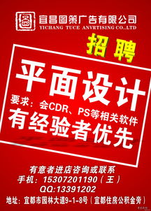 诚招平面设计师一名